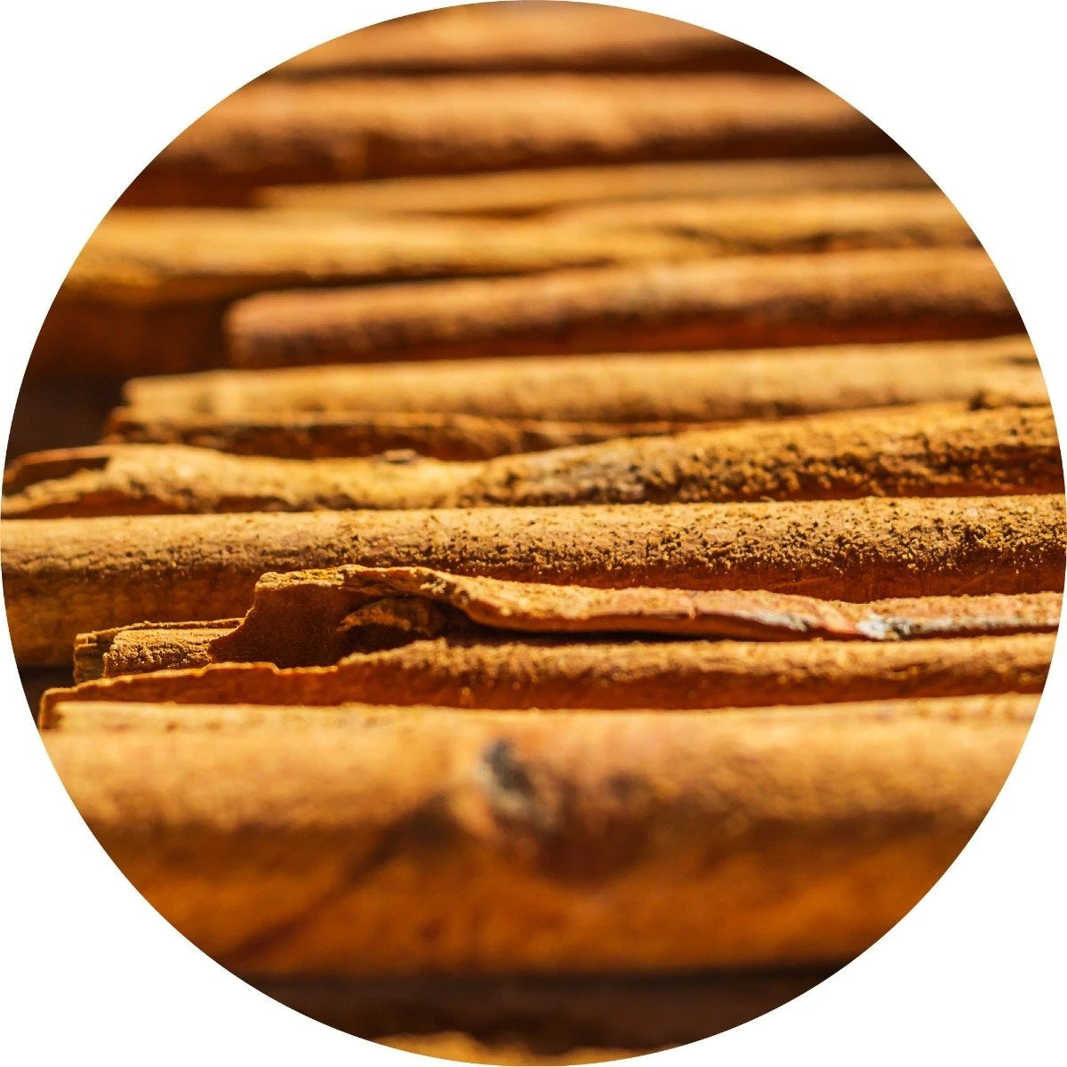 LIVING LIBATIONS cinnamon Bark Essential Oil ALWAYS SHOW